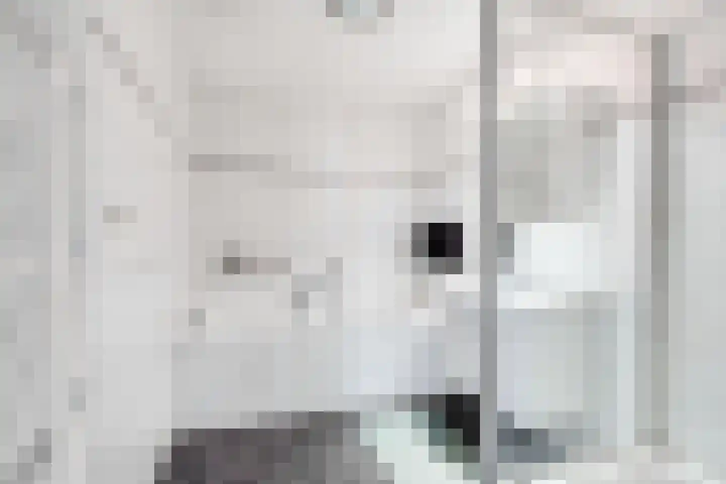 Parelsnoer 15 Rhoon thumbnail 5
