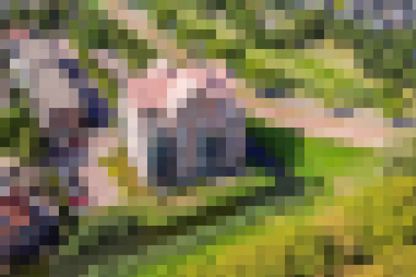 Parelsnoer 15 Rhoon thumbnail 6