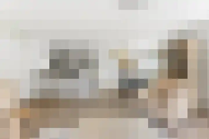 Parelsnoer 5 Rhoon thumbnail 16