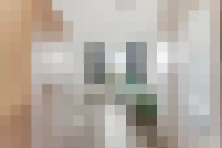 Parelsnoer 5 Rhoon thumbnail 28