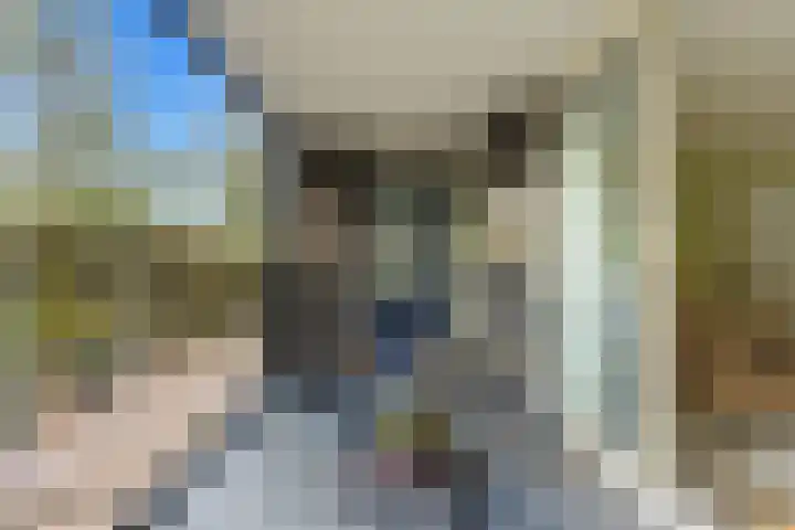 Parelsnoer 5 Rhoon thumbnail 35