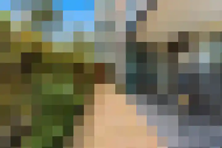 Parelsnoer 5 Rhoon thumbnail 36