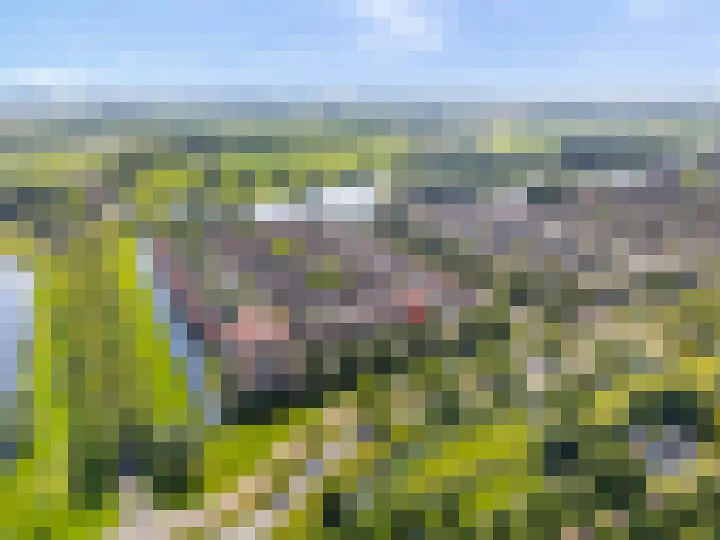 Parelsnoer 8 Rhoon