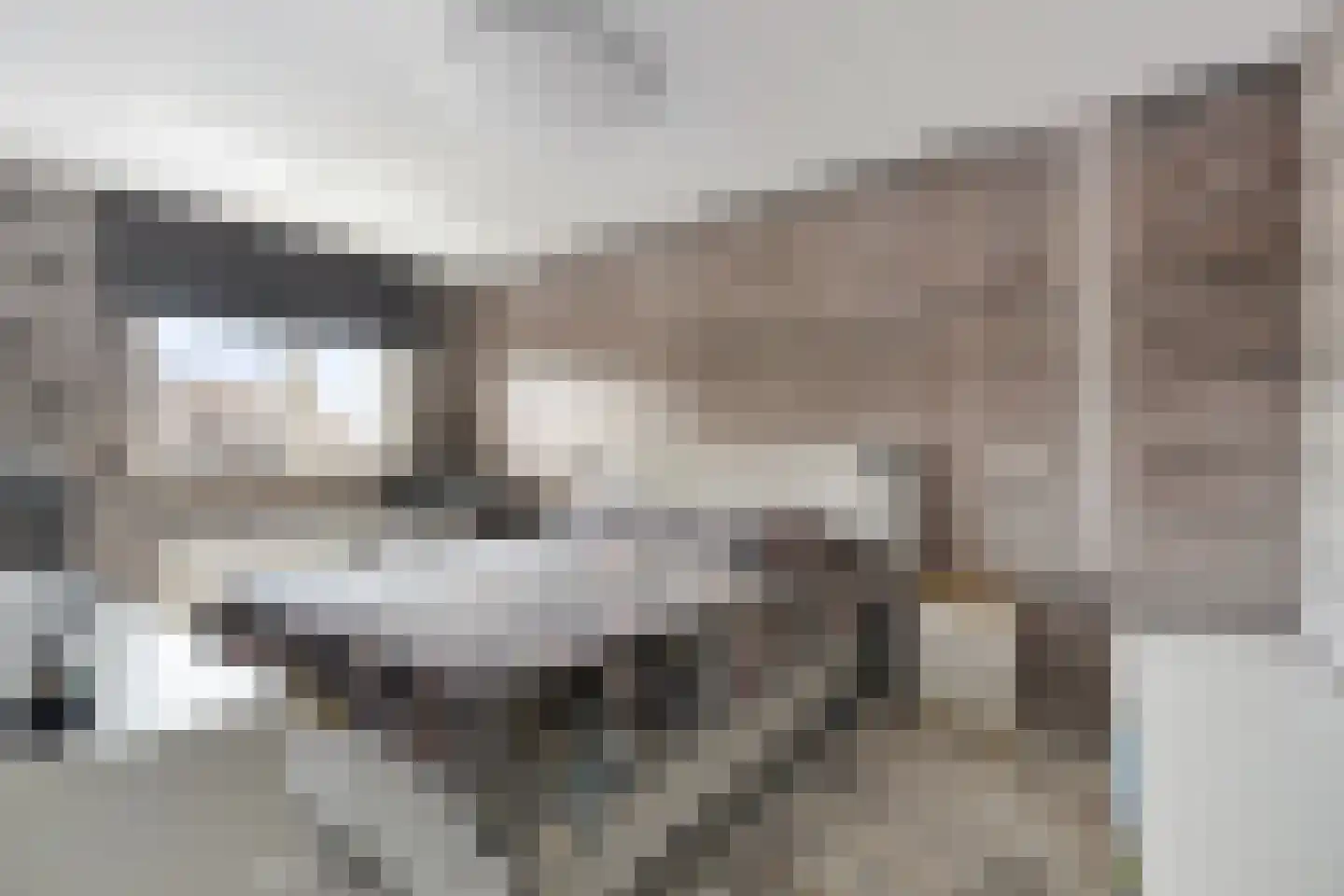 Parelsnoer 8 Rhoon thumbnail 12