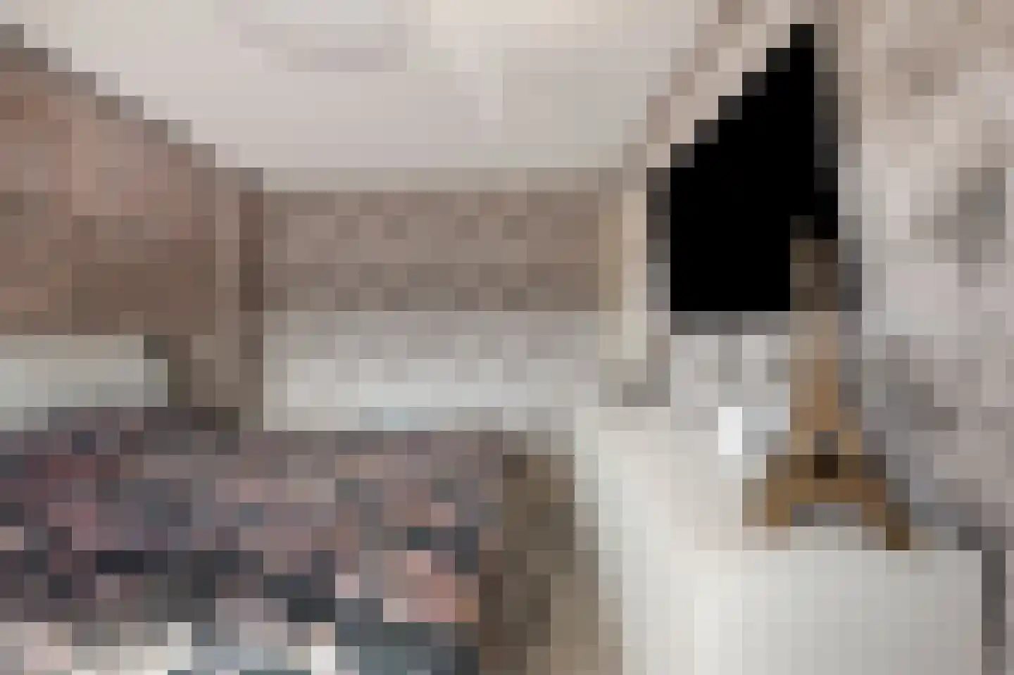 Parelsnoer 8 Rhoon thumbnail 13