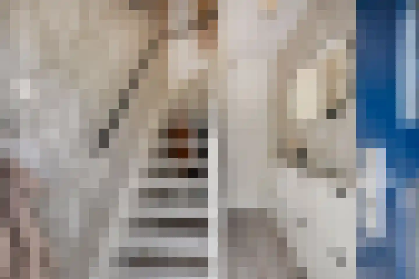 Parelsnoer 8 Rhoon thumbnail 24