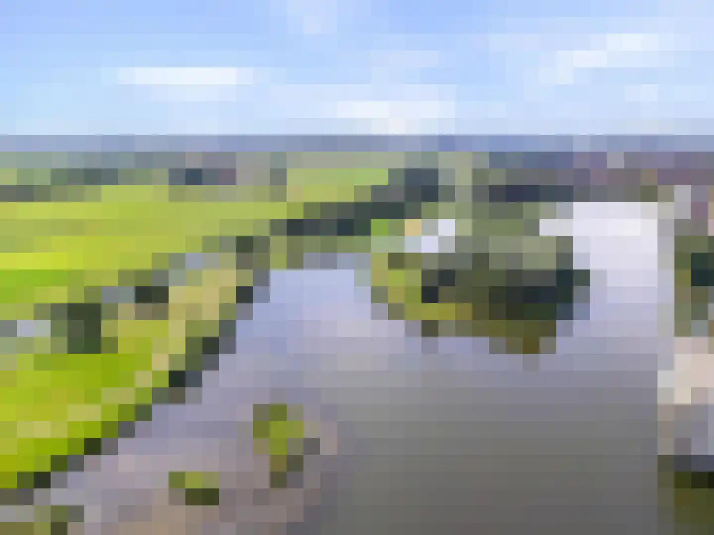 Parelsnoer 8 Rhoon thumbnail 39
