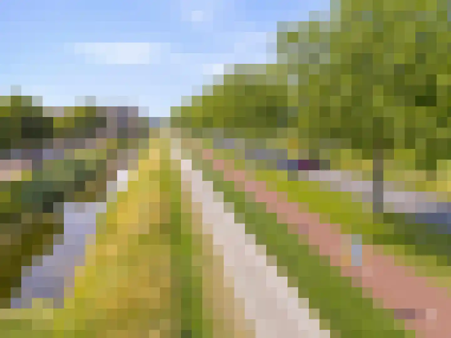 Parelsnoer 8 Rhoon thumbnail 40