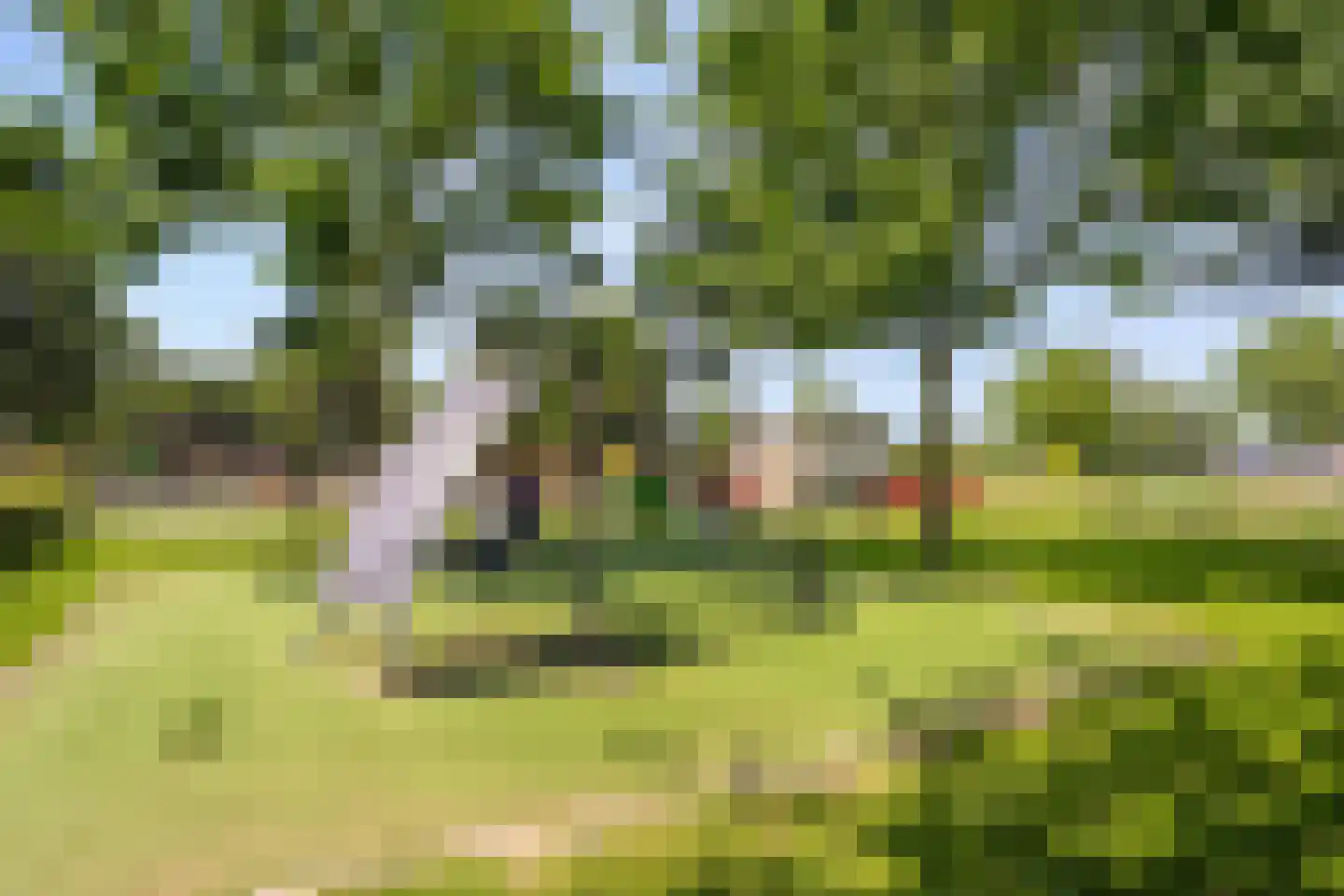 Parelsnoer 8 Rhoon thumbnail 41