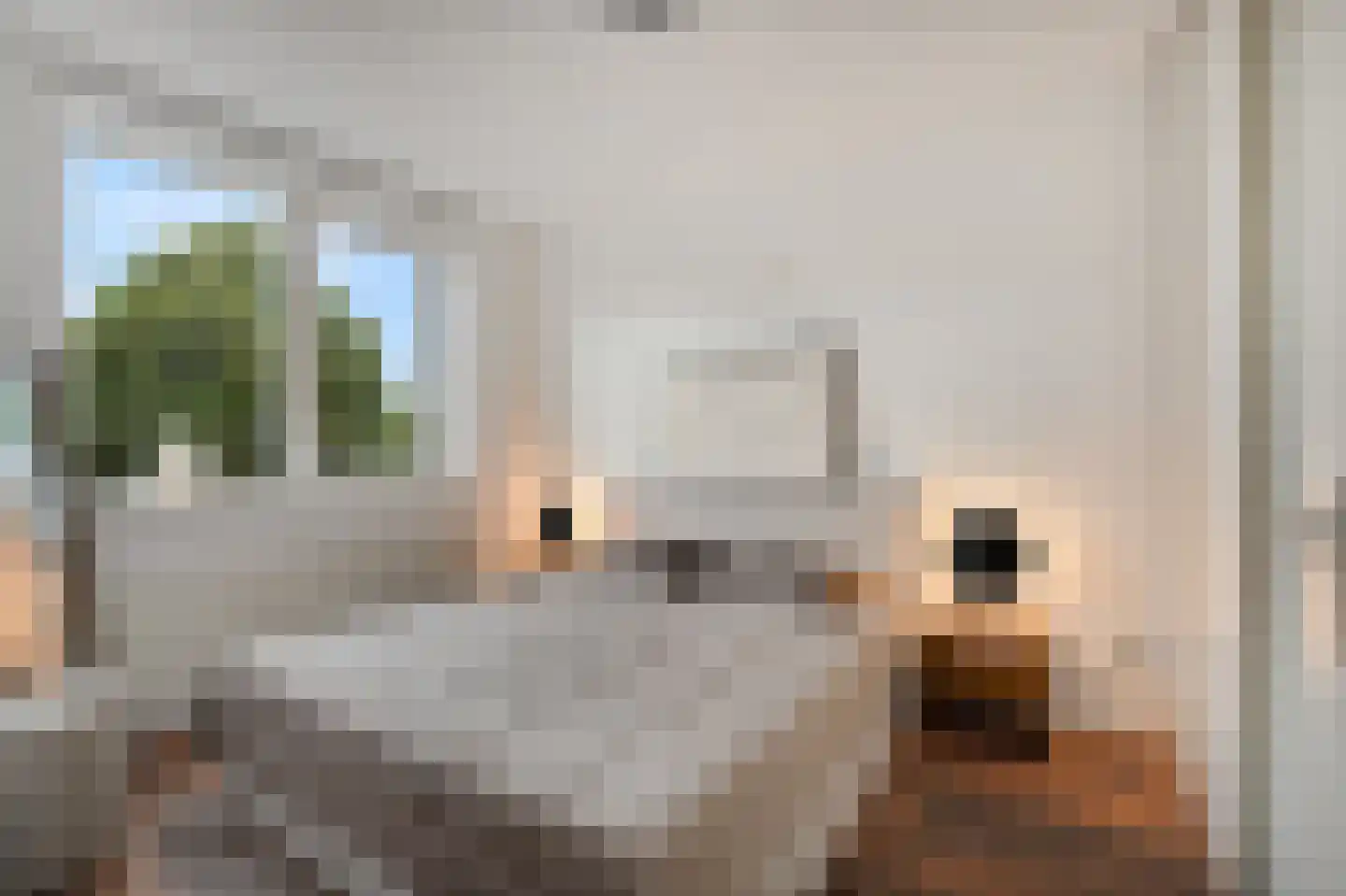Parelsnoer 92 Rhoon thumbnail 12
