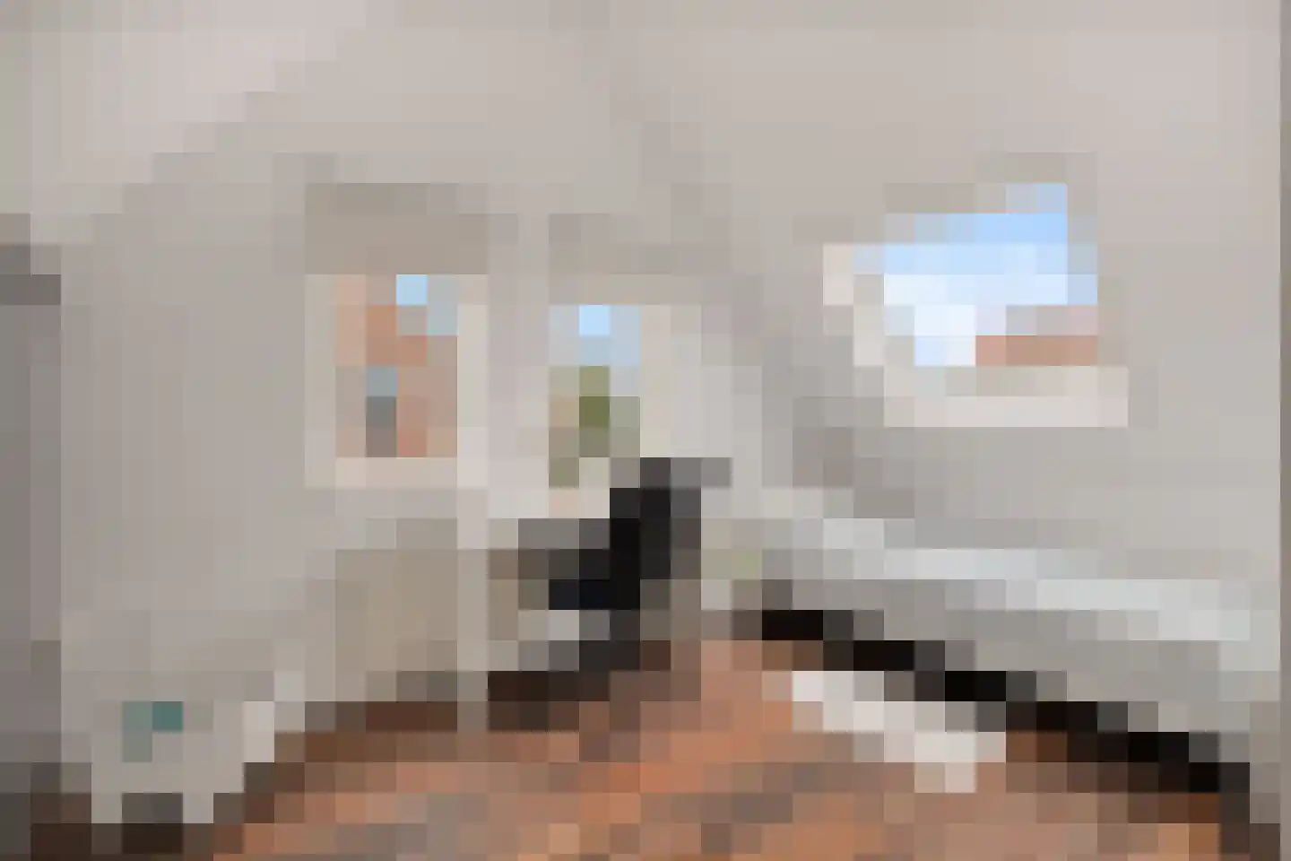 Parelsnoer 92 Rhoon thumbnail 21