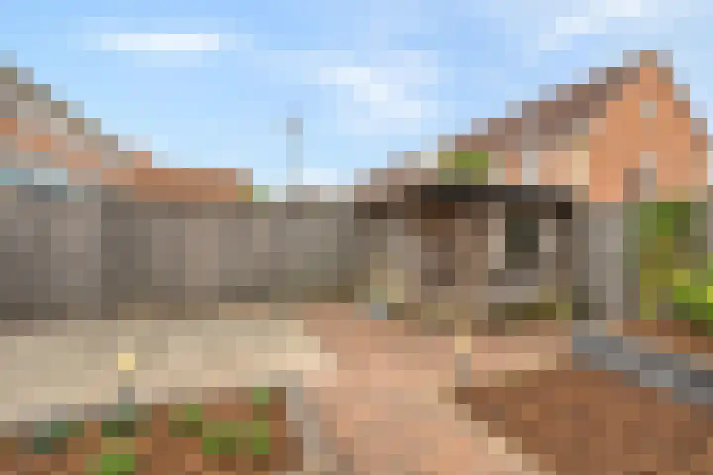 Parelsnoer 92 Rhoon thumbnail 29