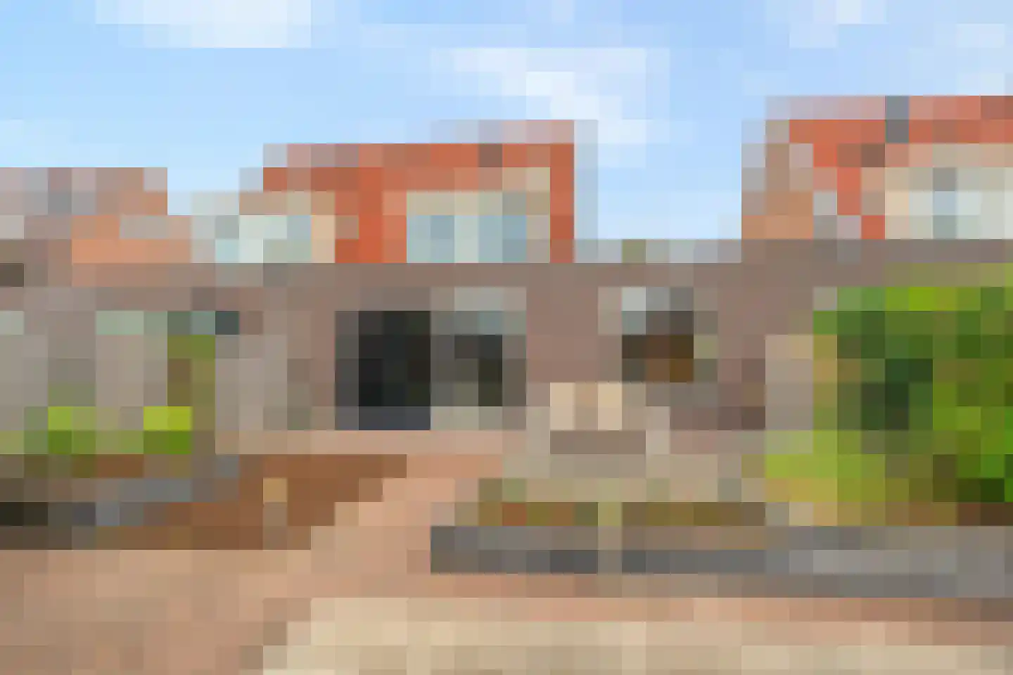 Parelsnoer 92 Rhoon thumbnail 30