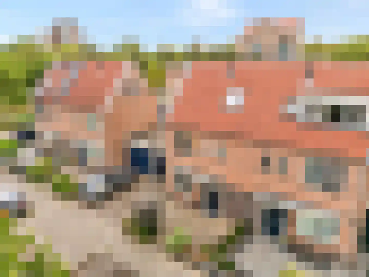 Parelsnoer 92 Rhoon thumbnail 34
