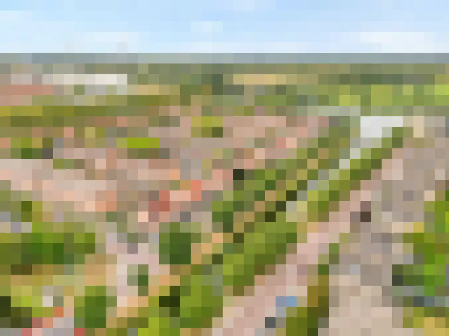 Parelsnoer 92 Rhoon thumbnail 36