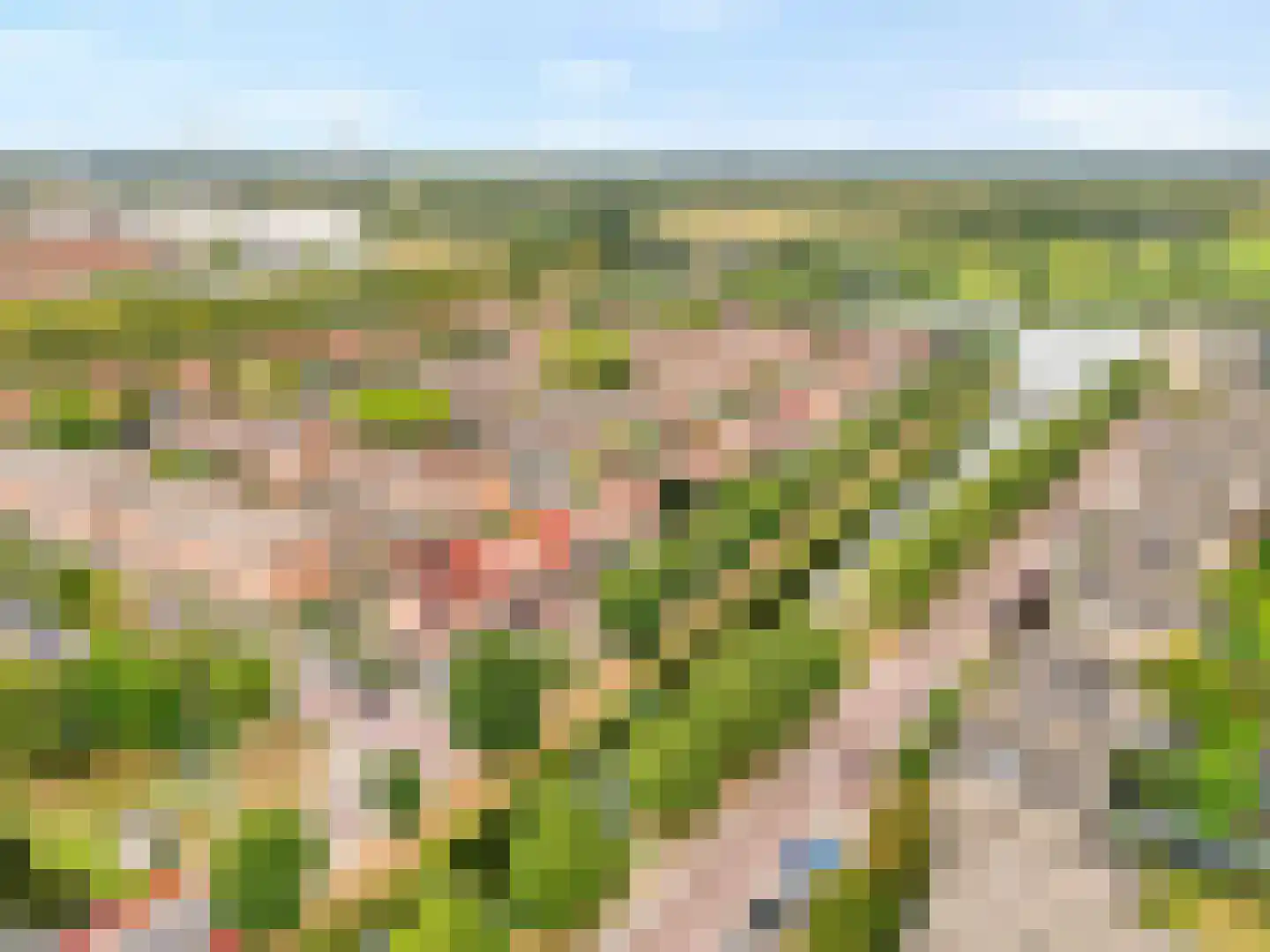 Parelsnoer 92 Rhoon thumbnail 37