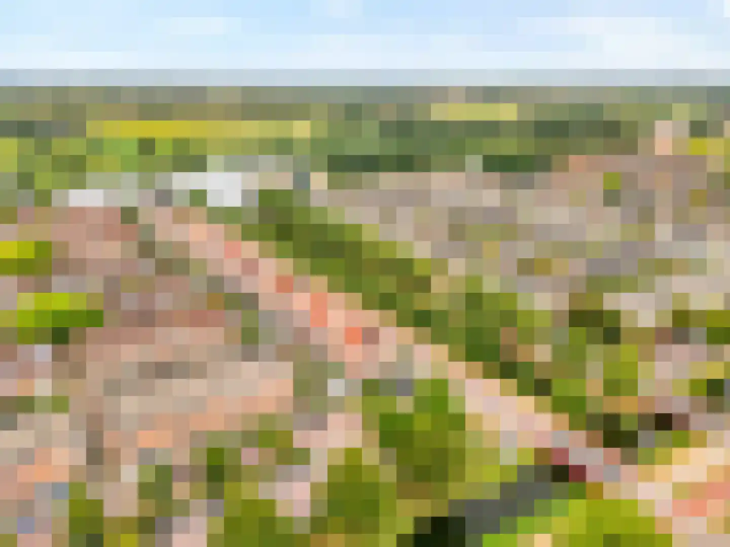 Parelsnoer 92 Rhoon thumbnail 38