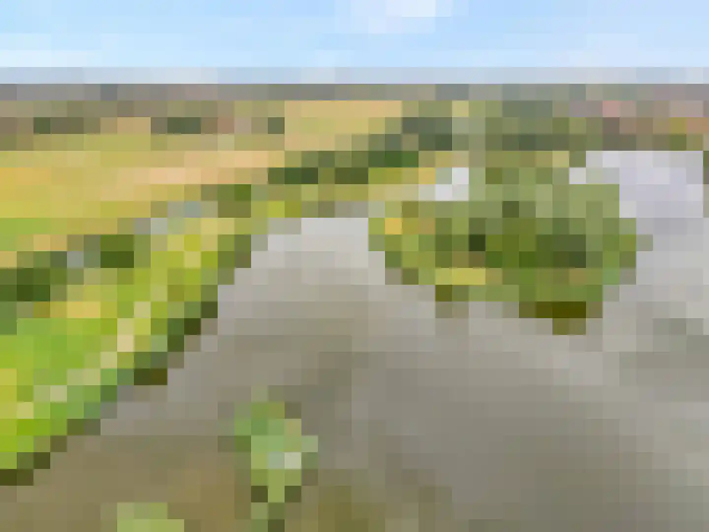 Parelsnoer 92 Rhoon thumbnail 46