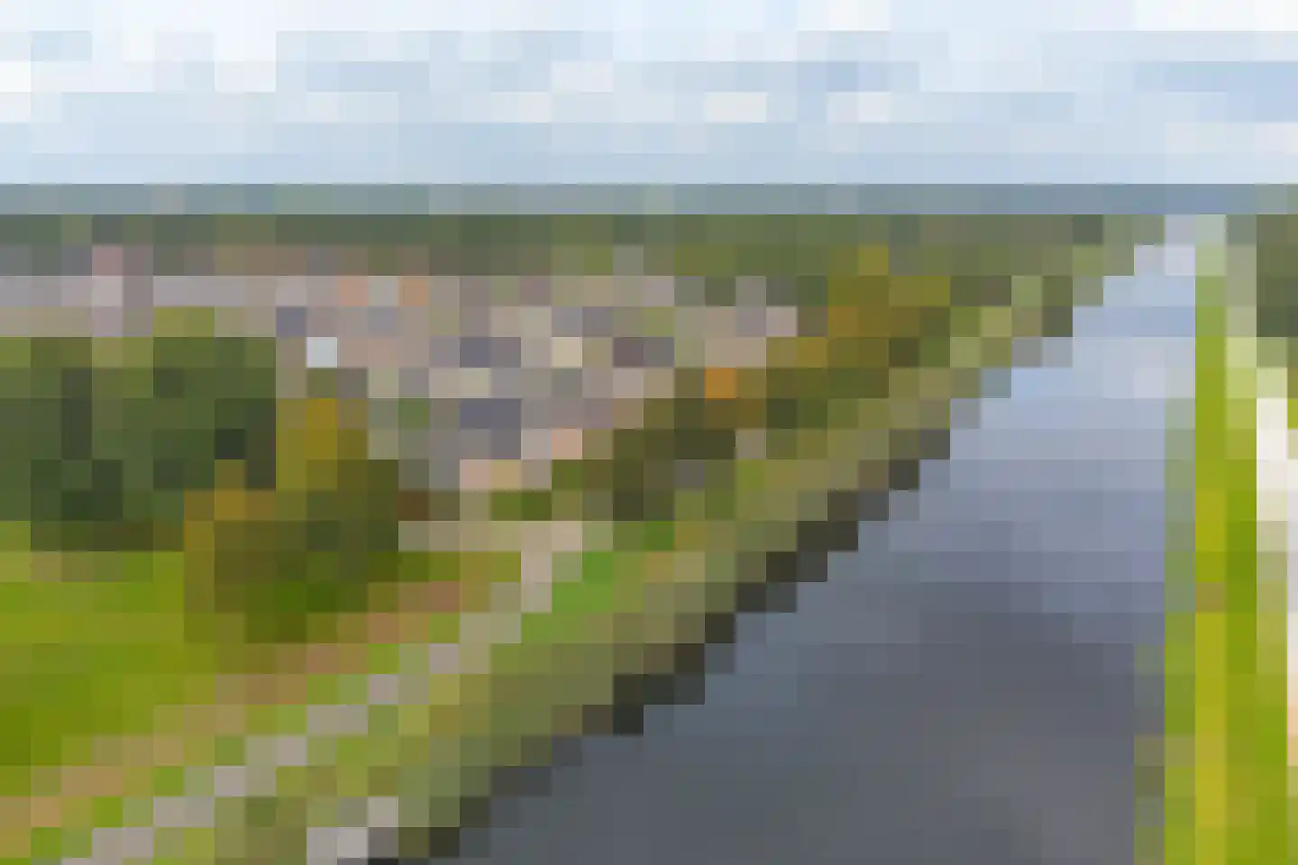 Parelstoep 54 Assen thumbnail 101