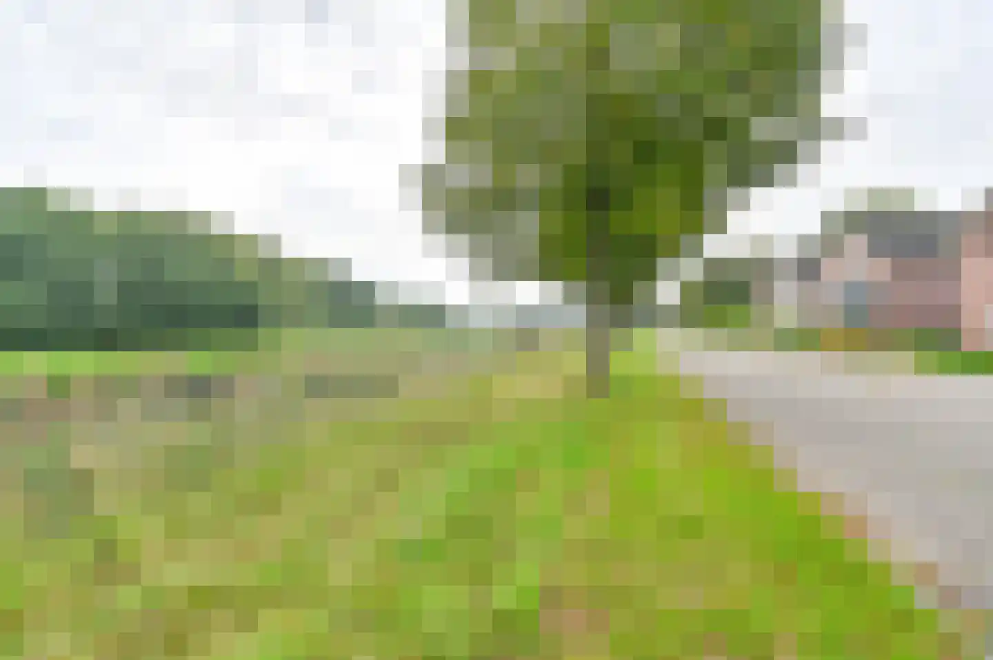 Parelstoep 54 Assen thumbnail 14