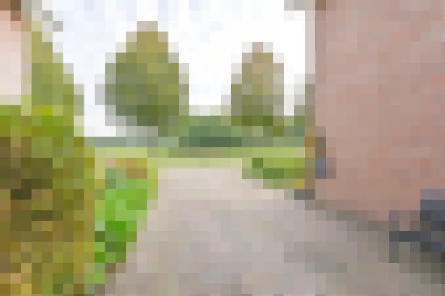 Parelstoep 54 Assen thumbnail 18