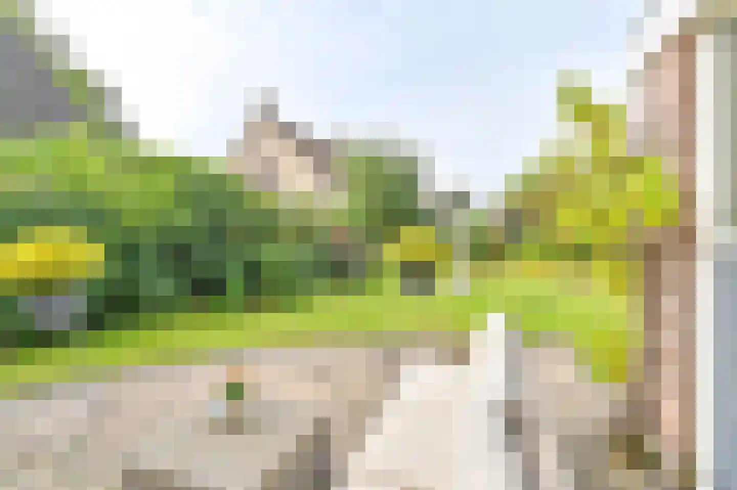 Parelstoep 54 Assen thumbnail 88