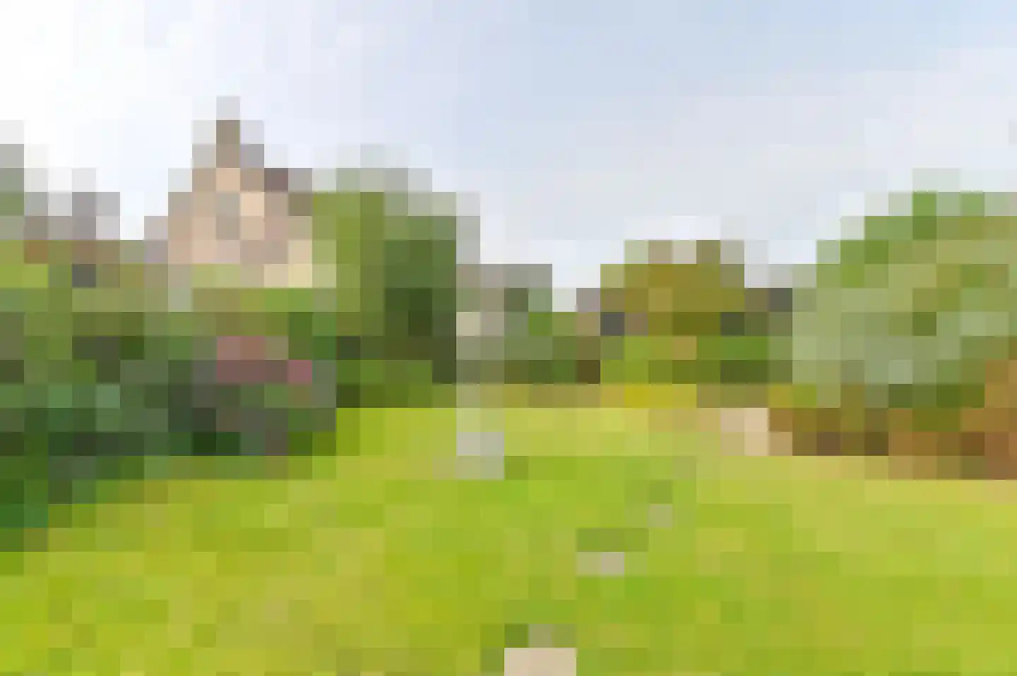 Parelstoep 54 Assen thumbnail 93