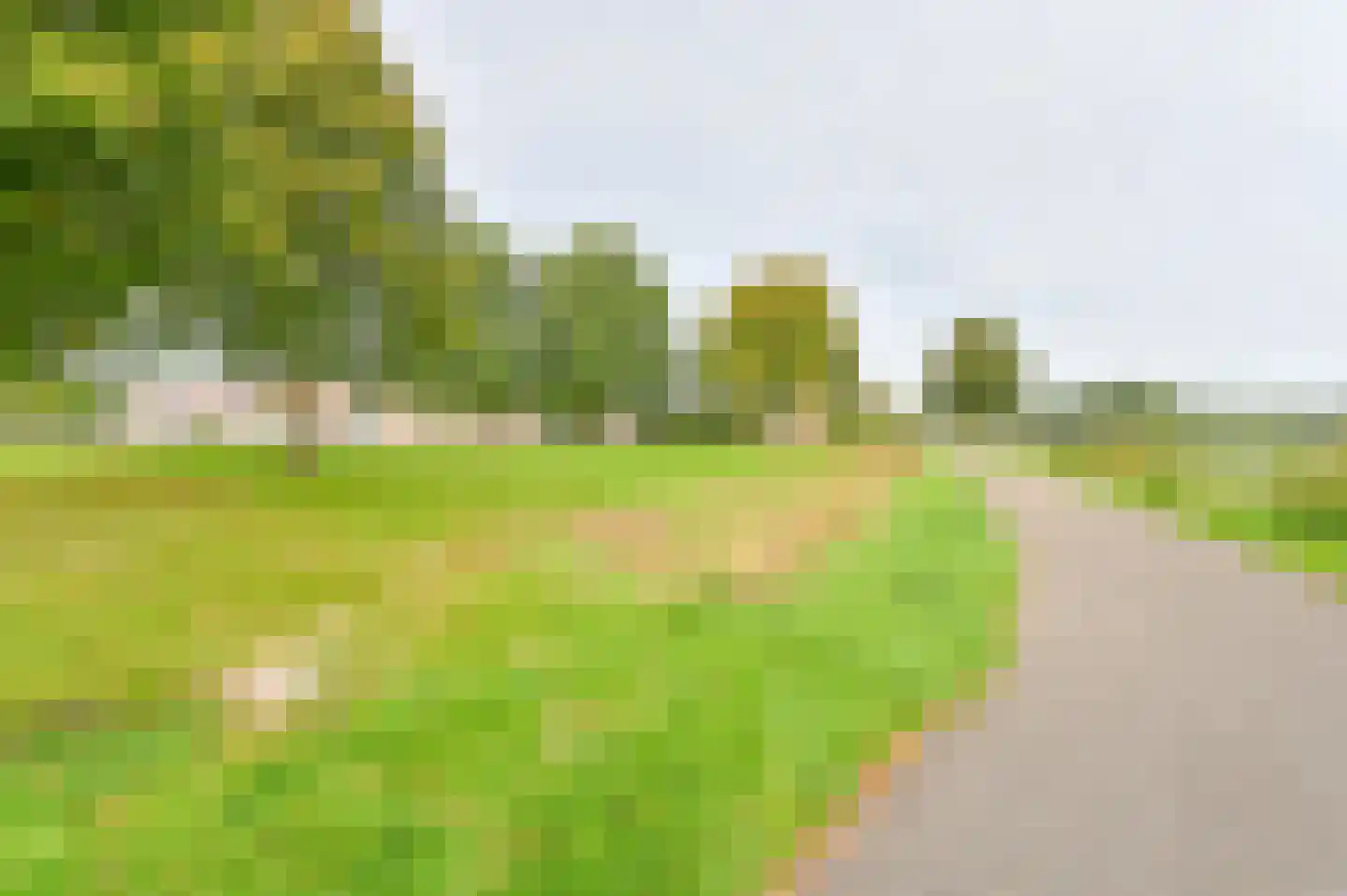 Parelstoep 54 Assen thumbnail 97