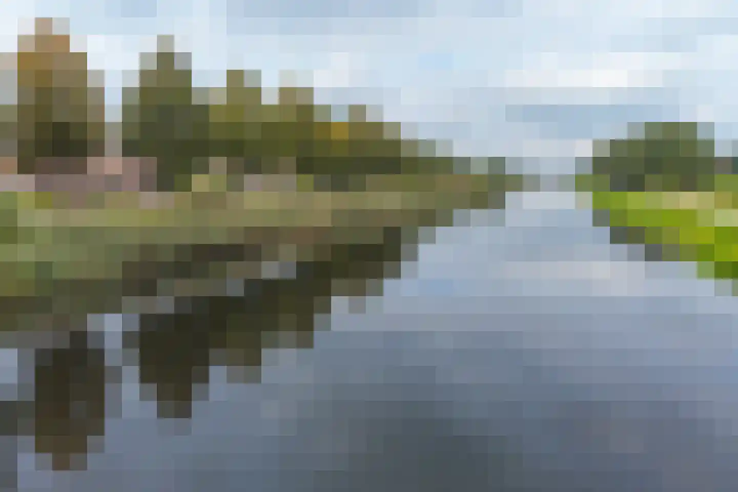 Parelstoep 54 Assen thumbnail 98