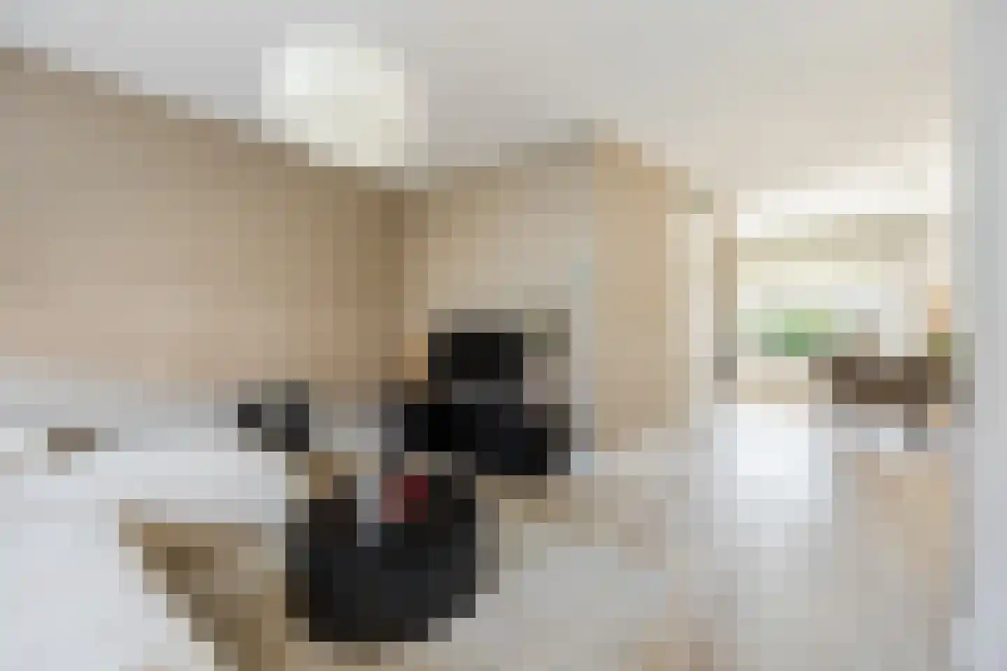 Parelstraat 23 Fijnaart thumbnail 11
