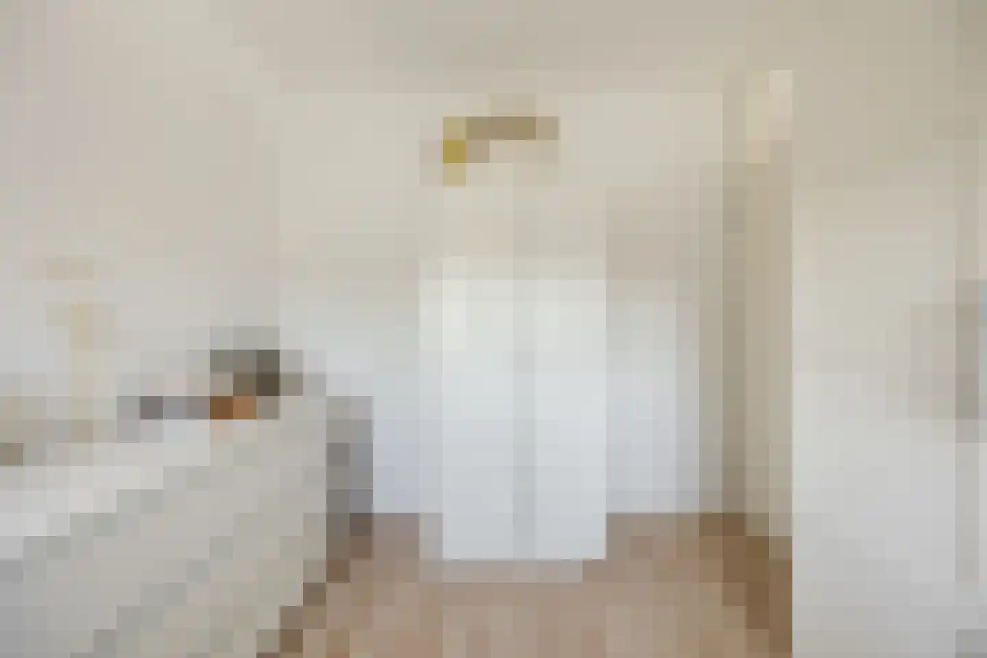 Parelstraat 23 Fijnaart thumbnail 26