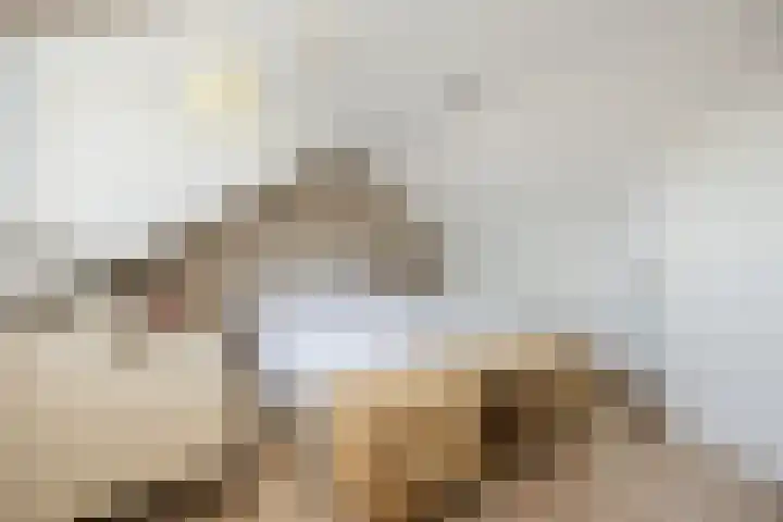 Parelstraat 23 Fijnaart thumbnail 32