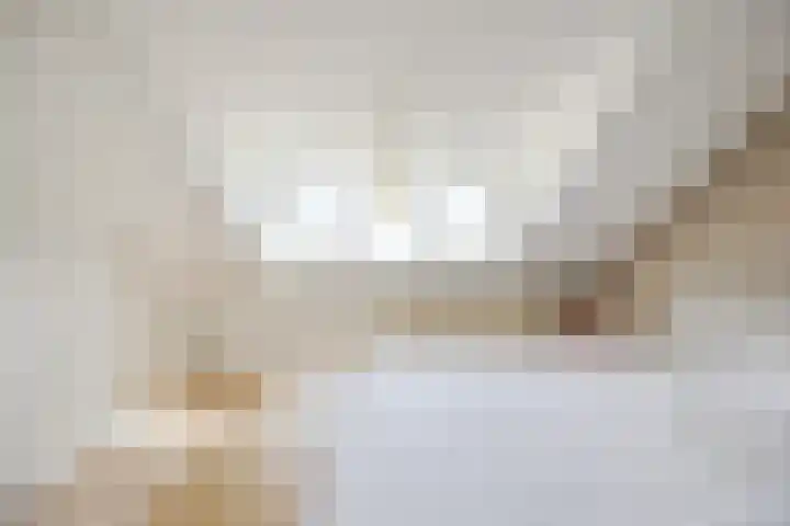 Parelstraat 23 Fijnaart thumbnail 33