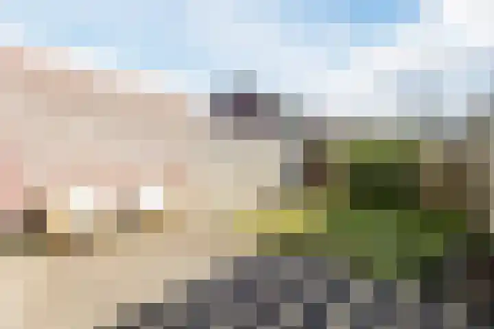 Parelstraat 23 Fijnaart thumbnail 36