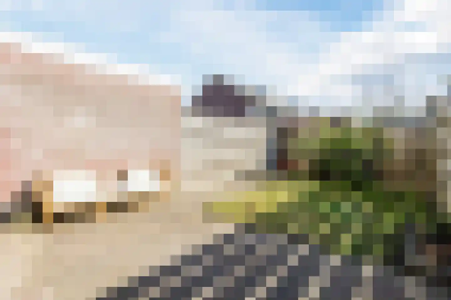 Parelstraat 23 Fijnaart thumbnail 36