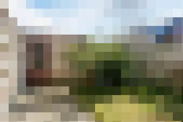 Parelstraat 23 Fijnaart thumbnail 38
