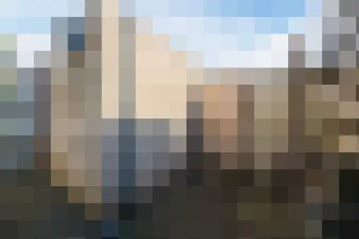 Parelstraat 23 Fijnaart thumbnail 39