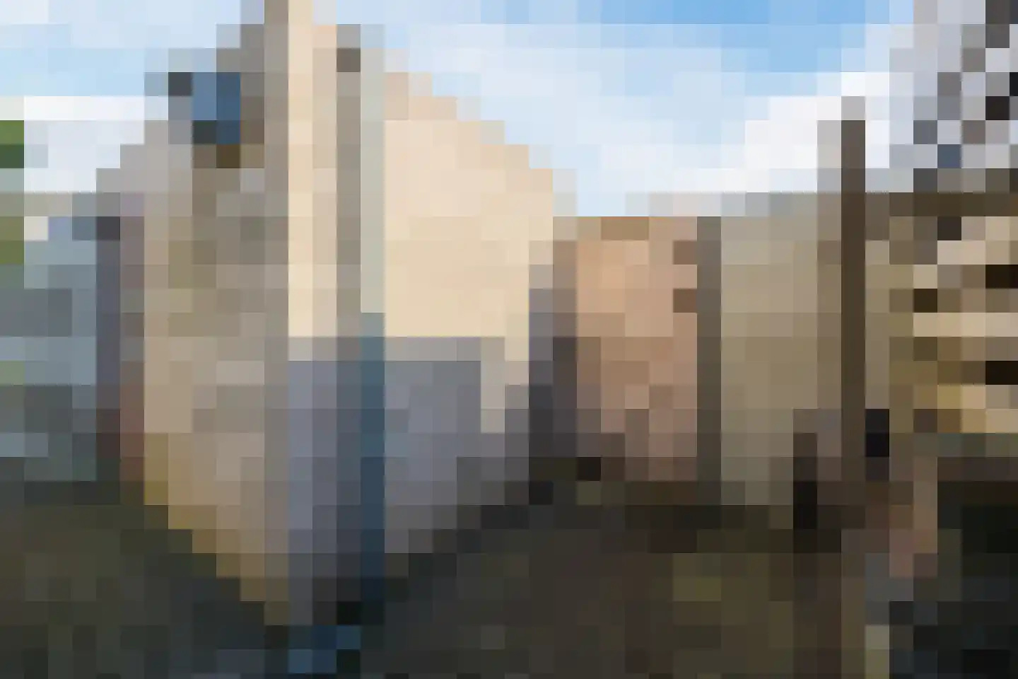 Parelstraat 23 Fijnaart thumbnail 39