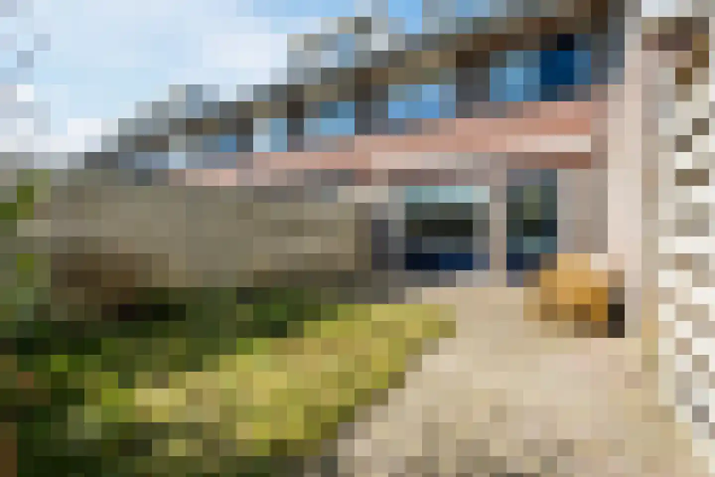 Parelstraat 23 Fijnaart thumbnail 40