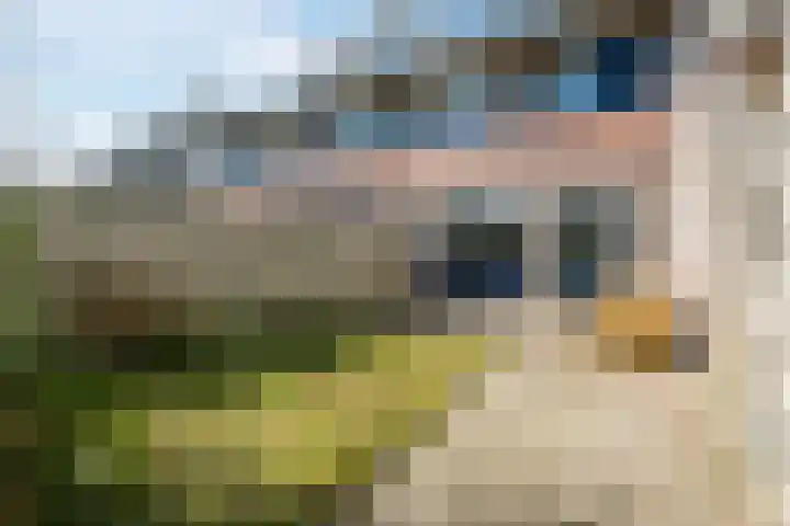 Parelstraat 23 Fijnaart thumbnail 40