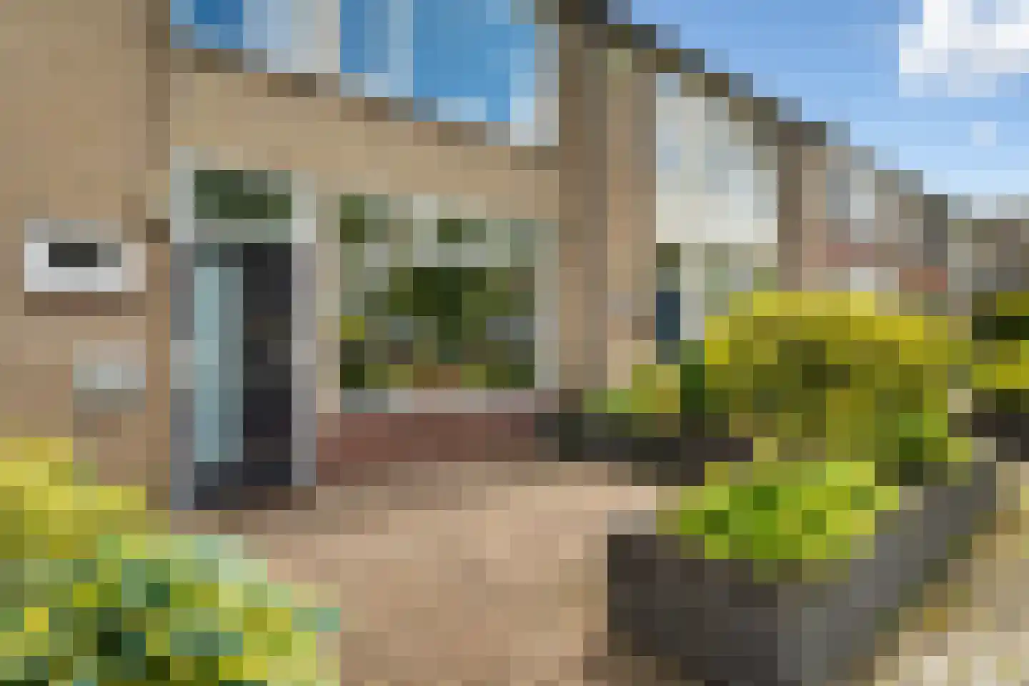 Parelstraat 27 Alphen aan den Rijn thumbnail 5