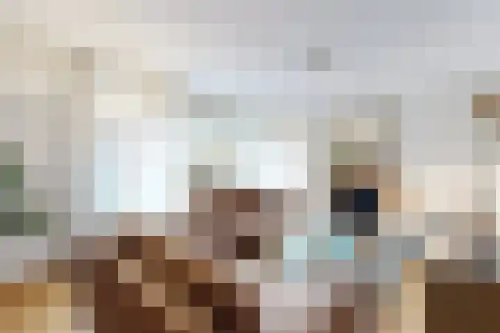 Parelstraat 41 Fijnaart thumbnail 13