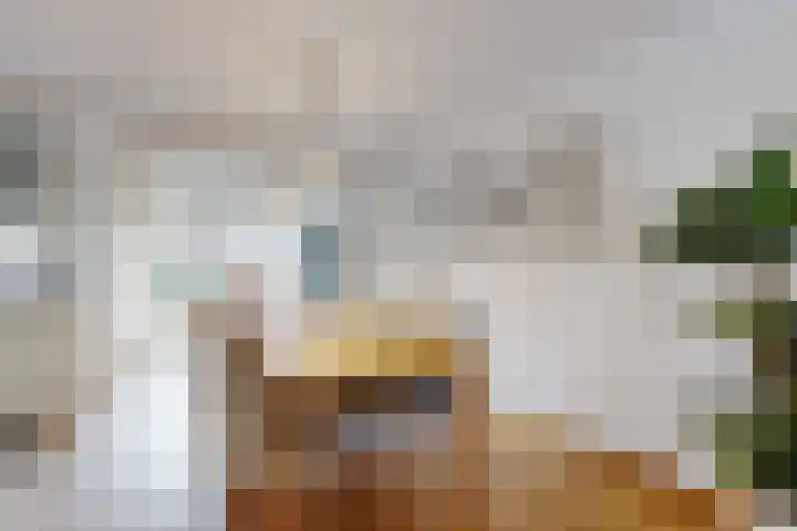 Parelstraat 41 Fijnaart thumbnail 16