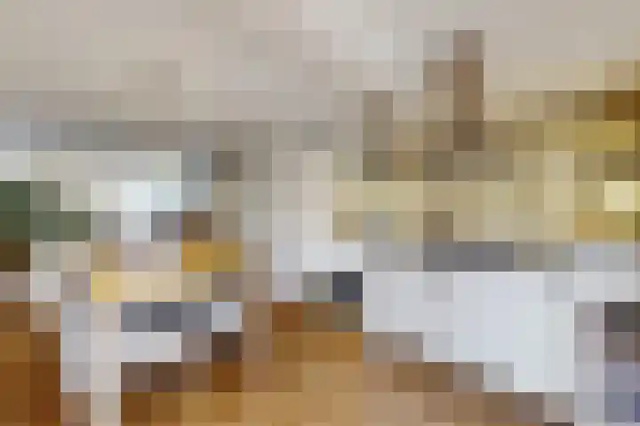 Parelstraat 41 Fijnaart thumbnail 21