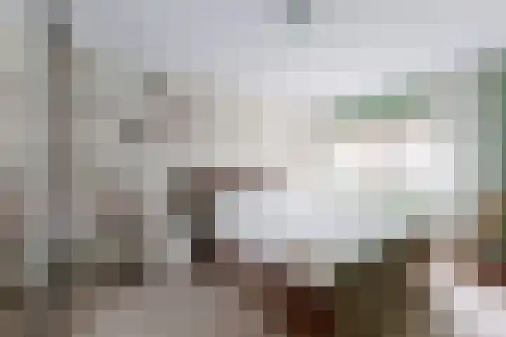 Parelstraat 41 Fijnaart thumbnail 30