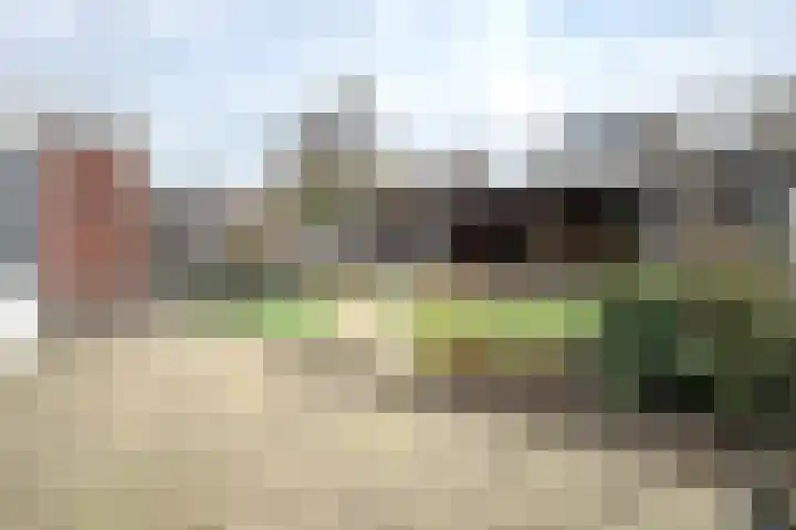 Parelstraat 41 Fijnaart thumbnail 59