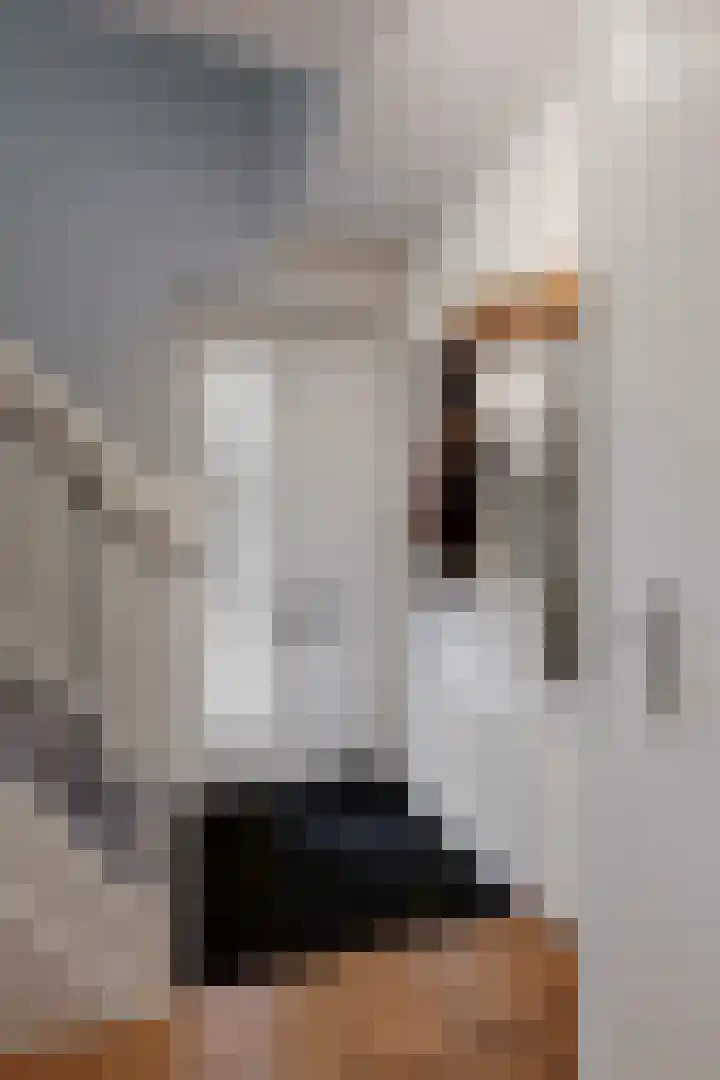 Parelstraat 41 Fijnaart thumbnail 7