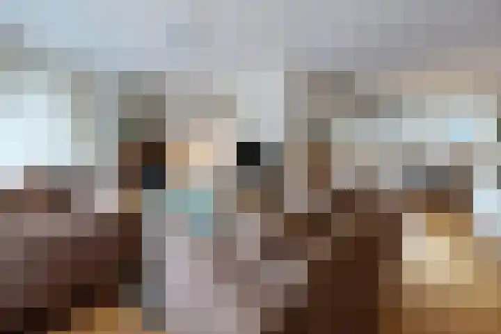 Parelstraat 41 Fijnaart thumbnail 9