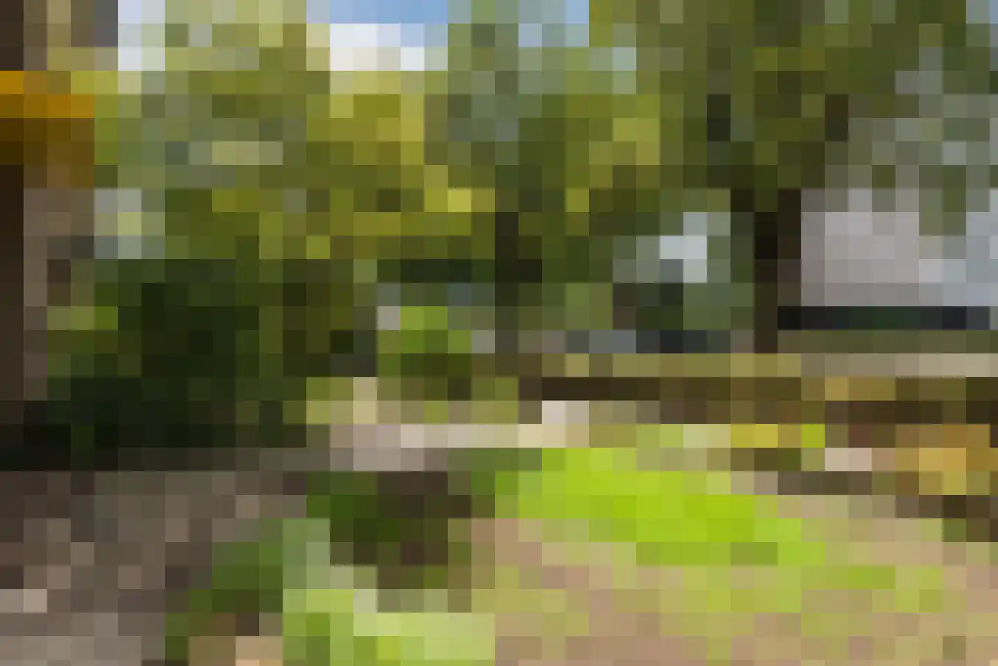 Parelvissersstraat 655 Apeldoorn thumbnail 38