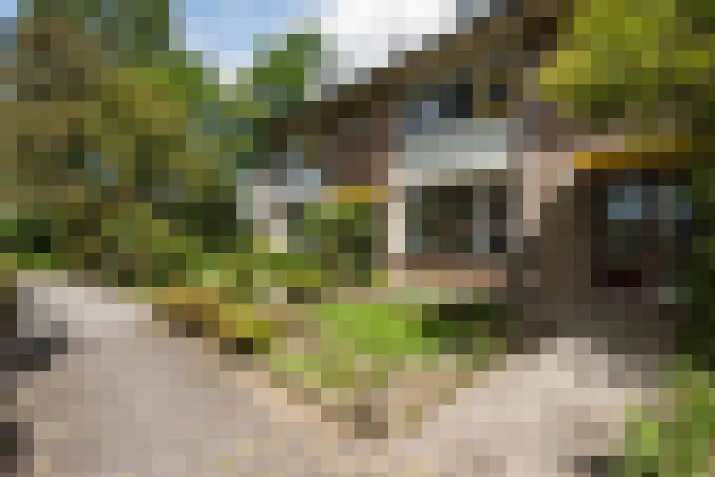 Parelvissersstraat 655 Apeldoorn thumbnail 39